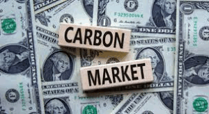SOAD Parliament Issues Recommendations on the East Africa Carbon Credit Bill