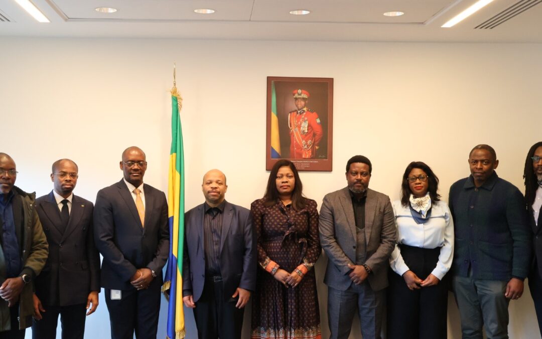 A Delegation of the Gabonese Government Meets the Diaspora in Paris