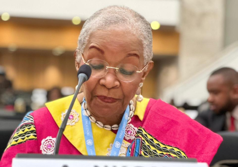 Advancing the Voice of the African Diaspora: Alice Nkom Speaks at the UN Human Rights Council